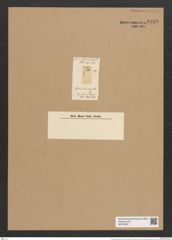 Eunotia alpina Kuetz. (de-Toni-Nr.: Genus 104, Species 3161) Zeichnungen Sammlung Grunow Nr. 6510 (NHMW-BOT-W0375222)